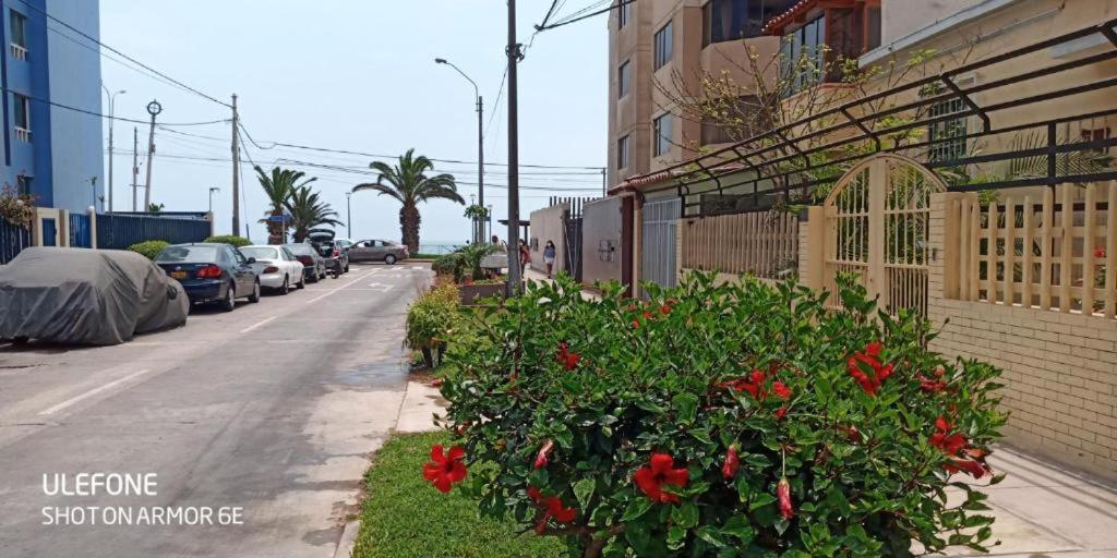 Bellavista * Lima